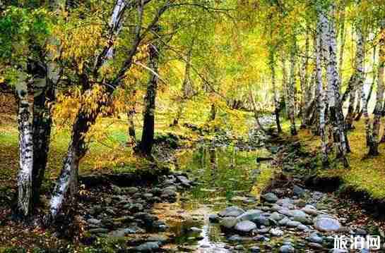 环北疆旅游景点介绍