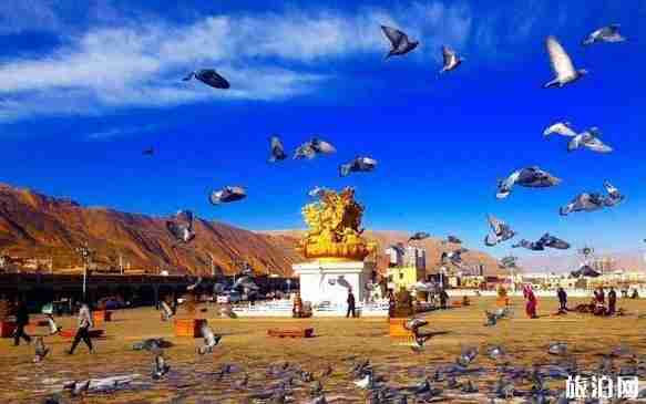 青海有哪些县城 青海最美县城排行榜2018 青海有哪些县城 青海最美县城排行榜2018