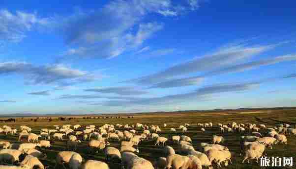 青海有哪些县城 青海最美县城排行榜2018 青海有哪些县城 青海最美县城排行榜2018