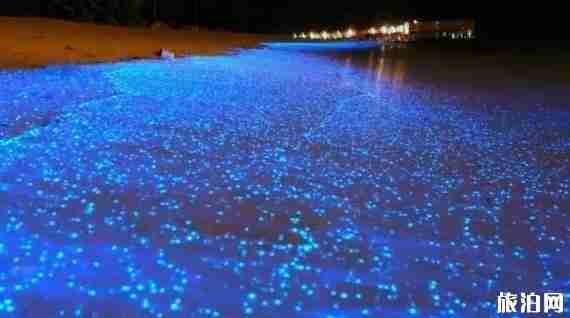 国外有哪些海滩值得推荐 十大全球最美海滩介绍 国外有哪些海滩值得推荐 十大全球最美海滩介绍