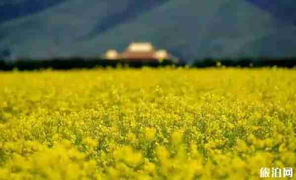 七月去四川好玩吗 七月去四川旅游景点介绍 七月去四川好玩吗 七月去四川旅游景点介绍