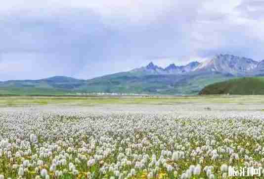 七月去四川好玩吗 七月去四川旅游景点介绍 七月去四川好玩吗 七月去四川旅游景点介绍
