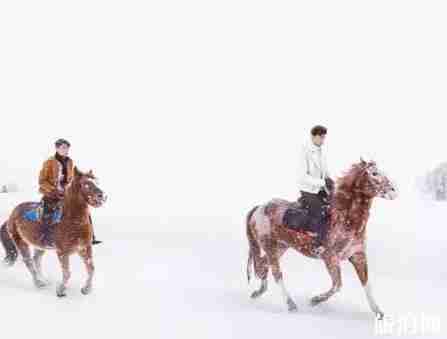 新野度假村游玩攻略 新野度假村游玩攻略