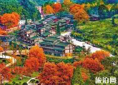 一周时间适合去哪里玩 适合玩一周的旅游小镇推荐