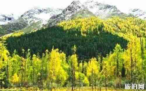 一周时间适合去哪里玩 适合玩一周的旅游小镇推荐