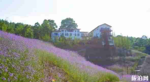 广东黄金海岸攻略2018