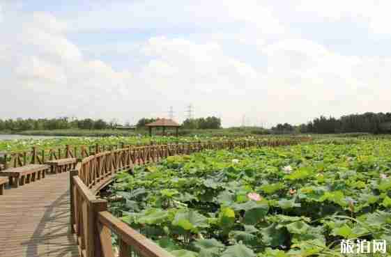 武汉穷游最佳攻略推荐