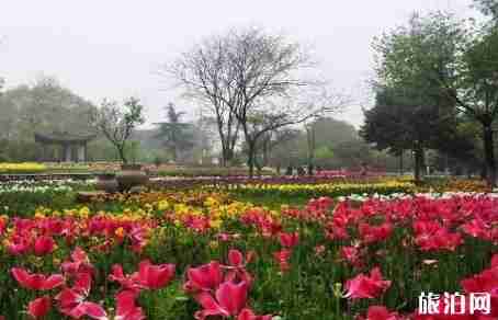 武汉旅游公交路线大盘点2018 武汉旅游公交路线大盘点2018