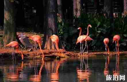 武汉旅游公交路线大盘点2018 武汉旅游公交路线大盘点2018