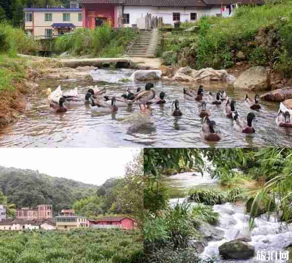 从化小镇旅游景点有哪些 从化小镇旅游介绍 从化小镇旅游景点有哪些 从化小镇旅游介绍