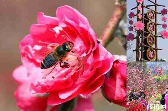 从化小镇旅游景点有哪些 从化小镇旅游介绍 从化小镇旅游景点有哪些 从化小镇旅游介绍