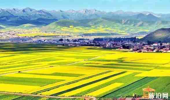 2018青海环湖赛时间+路线风景介绍