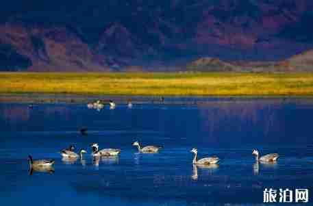 班公湖在哪 班公湖介绍 班公湖在哪 班公湖介绍