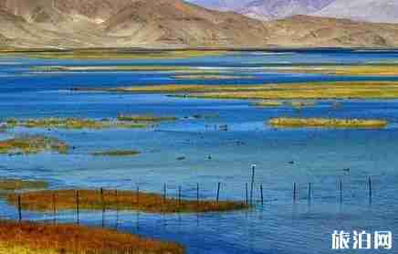 班公湖在哪 班公湖介绍 班公湖在哪 班公湖介绍