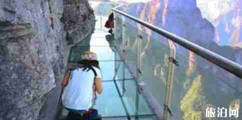 河南玻璃桥在哪里 河南玻璃桥介绍