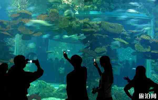 山东游乐园大全2018