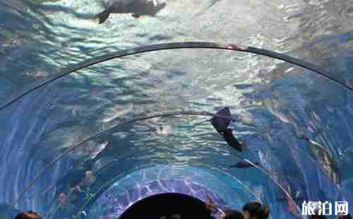 山东游乐园大全2018 山东游乐园大全2018