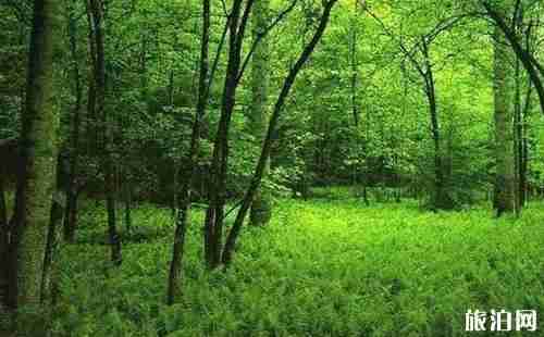 河南自驾路线推荐2018