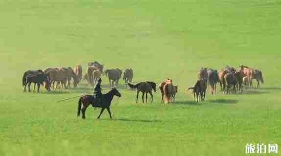 国内空气最好的地方 国内空气最好的地方景点介绍 国内空气最好的地方 国内空气最好的地方景点介绍