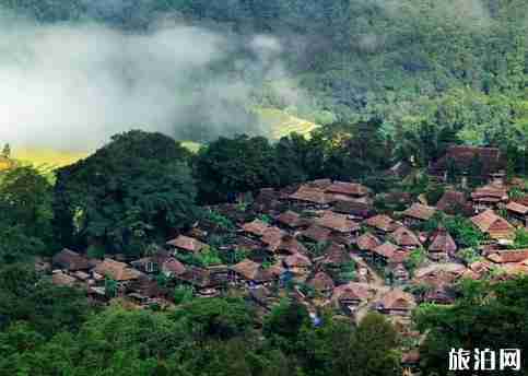 云南临沧特产有什么 临沧特产介绍 云南临沧特产有什么 临沧特产介绍