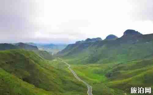 贵州草原有哪些 贵州草原介绍 贵州草原有哪些 贵州草原介绍