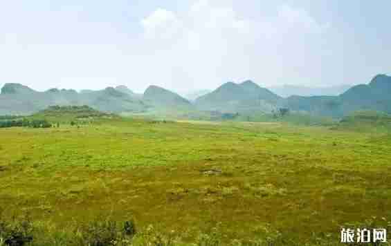 贵州草原有哪些 贵州草原介绍 贵州草原有哪些 贵州草原介绍