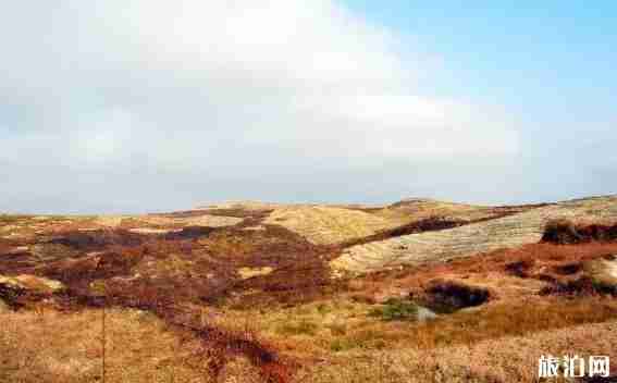 贵州草原有哪些 贵州草原介绍 贵州草原有哪些 贵州草原介绍