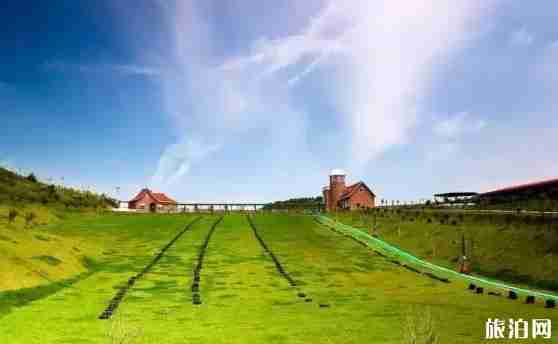 贵州草原有哪些 贵州草原介绍 贵州草原有哪些 贵州草原介绍