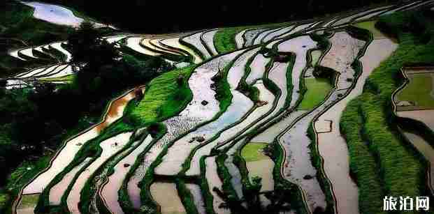 贵州县排名2018 贵州最美的县介绍 贵州县排名2018 贵州最美的县介绍