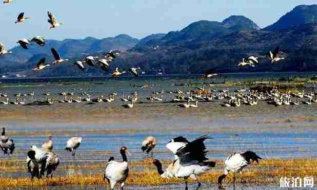 贵州县排名2018 贵州最美的县介绍 贵州县排名2018 贵州最美的县介绍