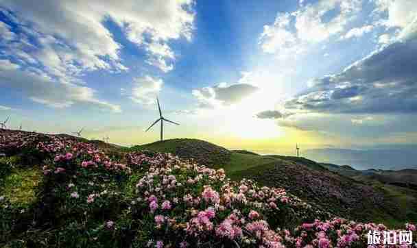 贵州县排名2018 贵州最美的县介绍 贵州县排名2018 贵州最美的县介绍