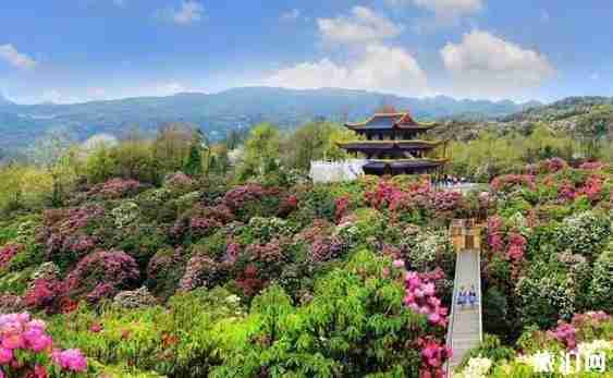 贵州十省市五折 贵州高速五折时间+旅游路线介绍 贵州十省市五折 贵州高速五折时间+旅游路线介绍