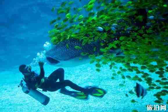 适合8月份短期旅游的城市2018 适合8月份短期旅游的城市2018