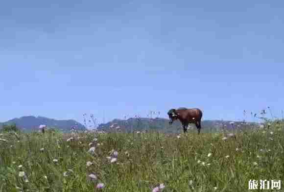 金秀古沙沟景区在哪 金秀古沙沟景区介绍 金秀古沙沟景区在哪 金秀古沙沟景区介绍