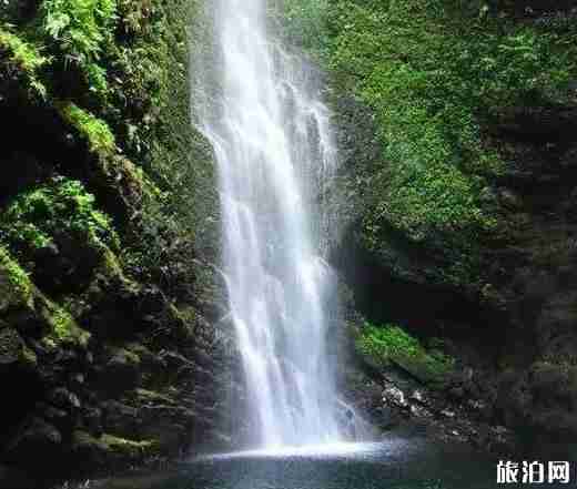 金秀古沙沟景区在哪 金秀古沙沟景区介绍 金秀古沙沟景区在哪 金秀古沙沟景区介绍
