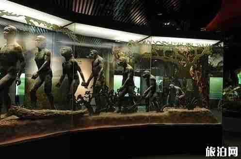 云南博物馆开馆时间 云南博物馆开馆时间