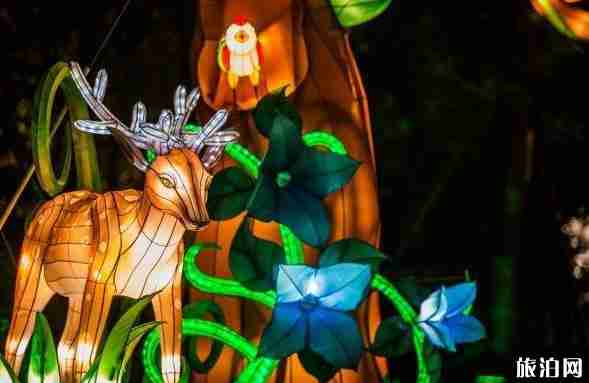 碧峰峡夜间动物园门票价格 碧峰峡夜间动物园介绍 碧峰峡夜间动物园门票价格 碧峰峡夜间动物园介绍