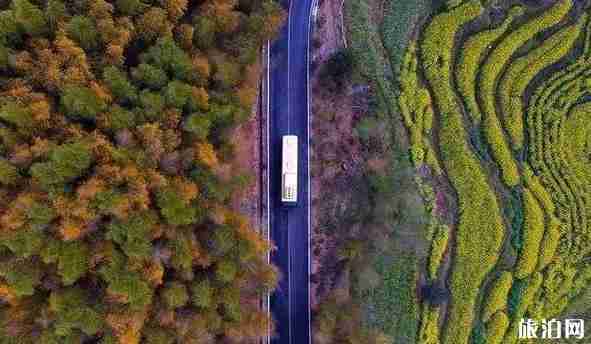 皖浙一号旅游公路介绍 皖浙自驾公路推荐 皖浙一号旅游公路介绍 皖浙自驾公路推荐