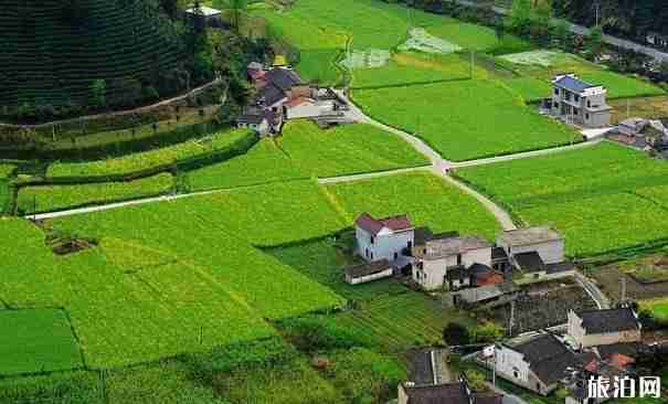 皖浙一号旅游公路介绍 皖浙自驾公路推荐 皖浙一号旅游公路介绍 皖浙自驾公路推荐