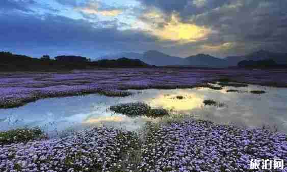 皖南自驾路线推荐 皖南自驾路线风景介绍 皖南自驾路线推荐 皖南自驾路线风景介绍