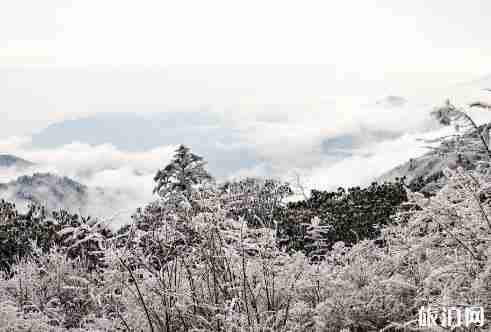 西岭雪山夏天适合去吗 西岭雪山夏季游玩攻略 西岭雪山夏天适合去吗 西岭雪山夏季游玩攻略