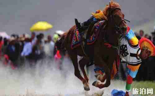 雪顿节是哪个民族的节日 雪顿节是什么时候+活动介绍 雪顿节是哪个民族的节日 雪顿节是什么时候+活动介绍