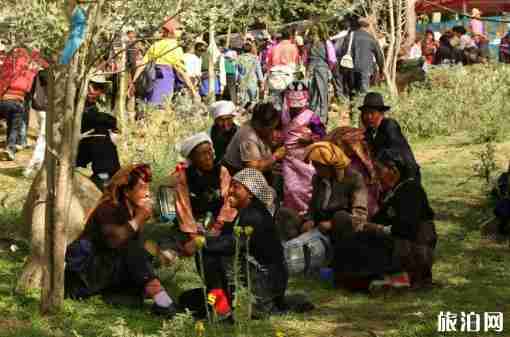 雪顿节是哪个民族的节日 雪顿节是什么时候+活动介绍 雪顿节是哪个民族的节日 雪顿节是什么时候+活动介绍