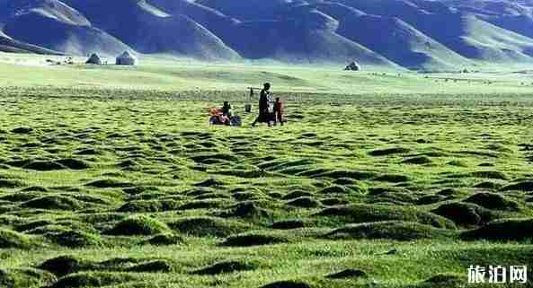 新疆避暑胜地推荐2018 新疆避暑胜地推荐2018