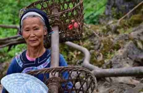 格凸河景区游玩攻略 格凸河景区游玩攻略