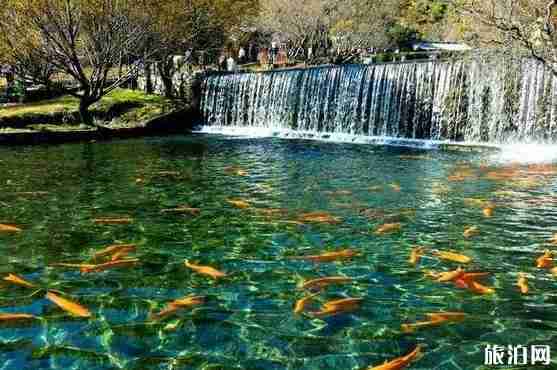 丽江公交旅游线路2018 丽江公交旅游线路2018