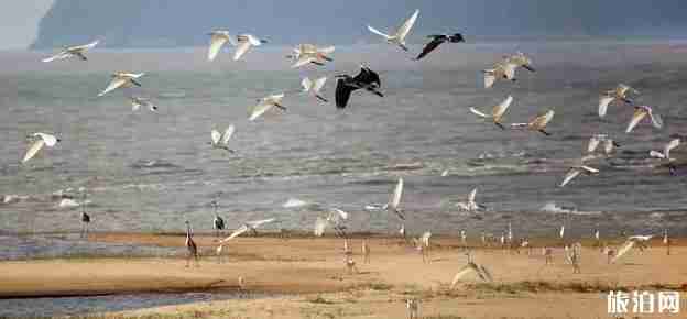 南昌环湖动车最新消息 南昌环湖动车沿线景点介绍 南昌环湖动车最新消息 南昌环湖动车沿线景点介绍