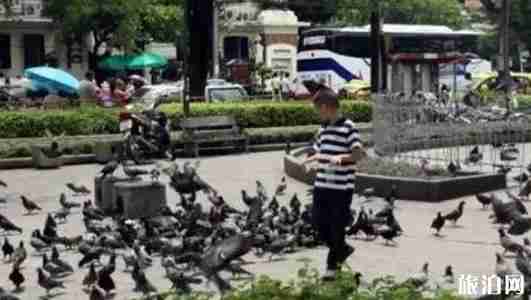 泰国旅游骗局有哪些 泰国旅游十大骗局 泰国旅游骗局有哪些 泰国旅游十大骗局