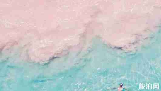 科莫多岛在哪 科莫多岛旅游介绍