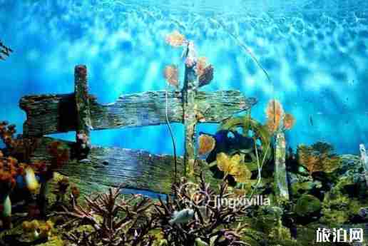 泰國親子游必去的地方2018